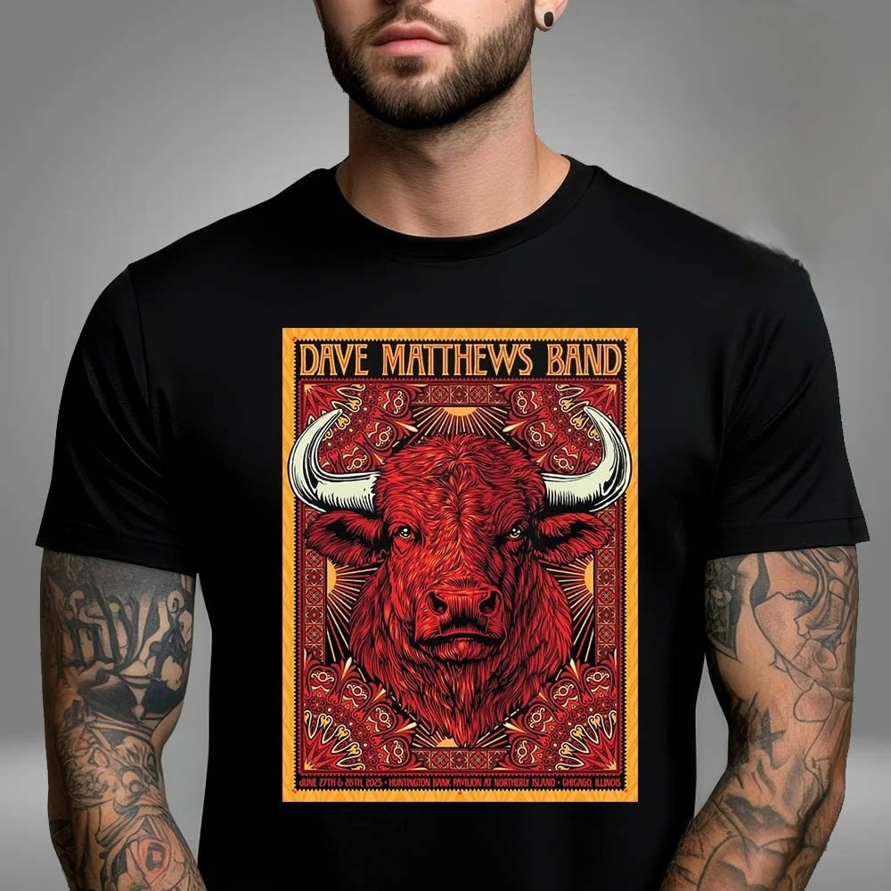 

Dave Mathews Band At Huntington Bank Pavilion At Northerly Island in Chicago IL on June 27-28 2025 Unisex T-Shirt