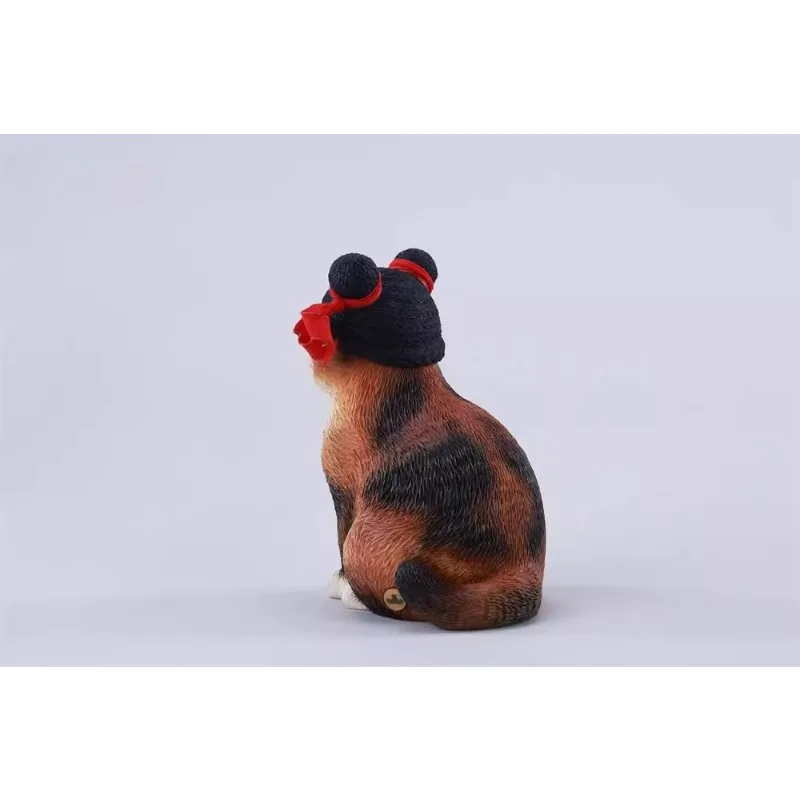in stock JXK 1/6 Scale Orange Cat with Black Meatball Hairstyle Hat Model Animal for 12'' Action Figures Body Accessory Gift