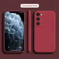 Camellia red