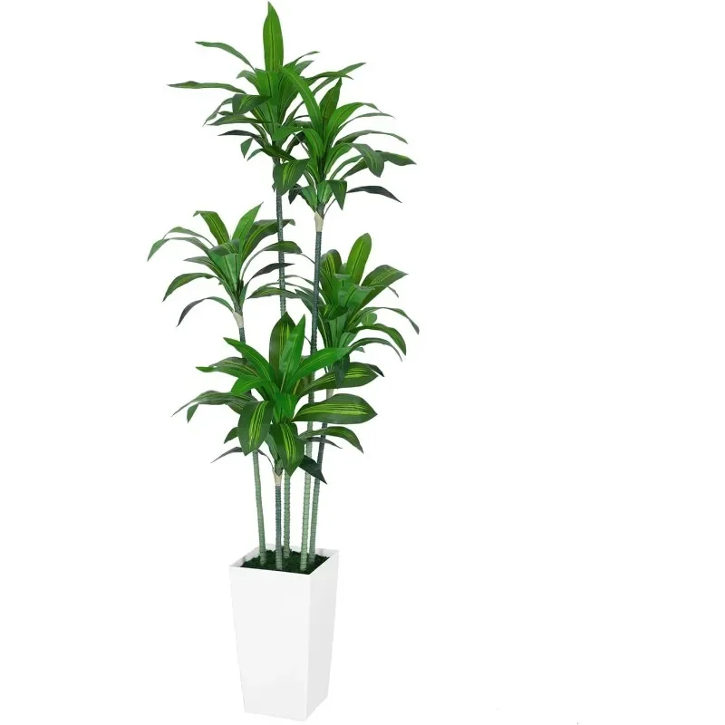 Dracaena Trees Artificial Indoor, 6FT Tall Faux Tree with White Tall Planter, Artificial Plants with Natural Wood Trunk