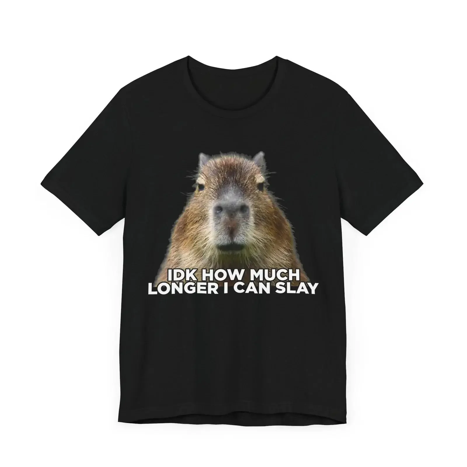 No sé cuánto tiempo más podré matar capibaras, camiseta sarcástica con meme, estilo vintage lavado, para uso diario, a la moda.