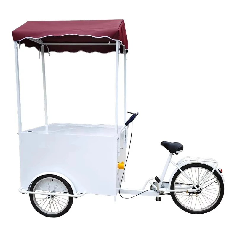 Mobile Electric Cargo Bicycle Trailer 3 Wheel Tricycle with Front Basket