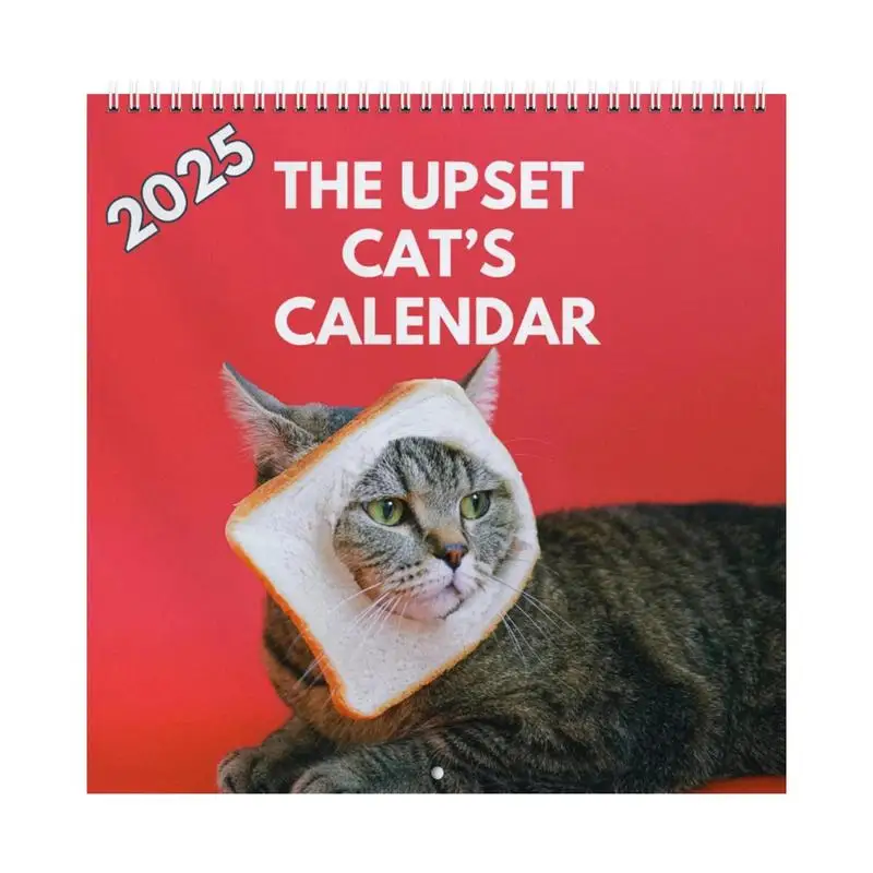 

2025 Upset Cat Calendar with Beautiful Illustrations 12 Months Cat Calendar Decoration for Home Bedroom Desktop Decoration