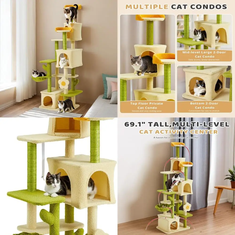 69.1 Multi-Level In… - image