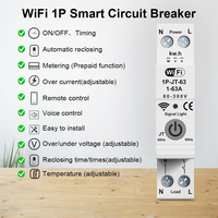 RMshebei Smart electric mcb wifi circuit breaker with over/under voltage timer smart Home Products Wireless electricity meter