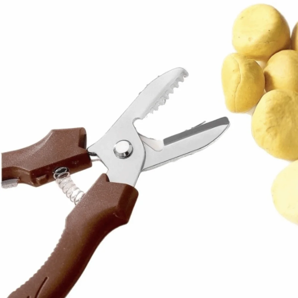 Stainless Steel Design Manual Chestnut Cutter Sturdy Labor Saving Chestnut Scissors Ergonomic Handle Chestnut Opener Tool