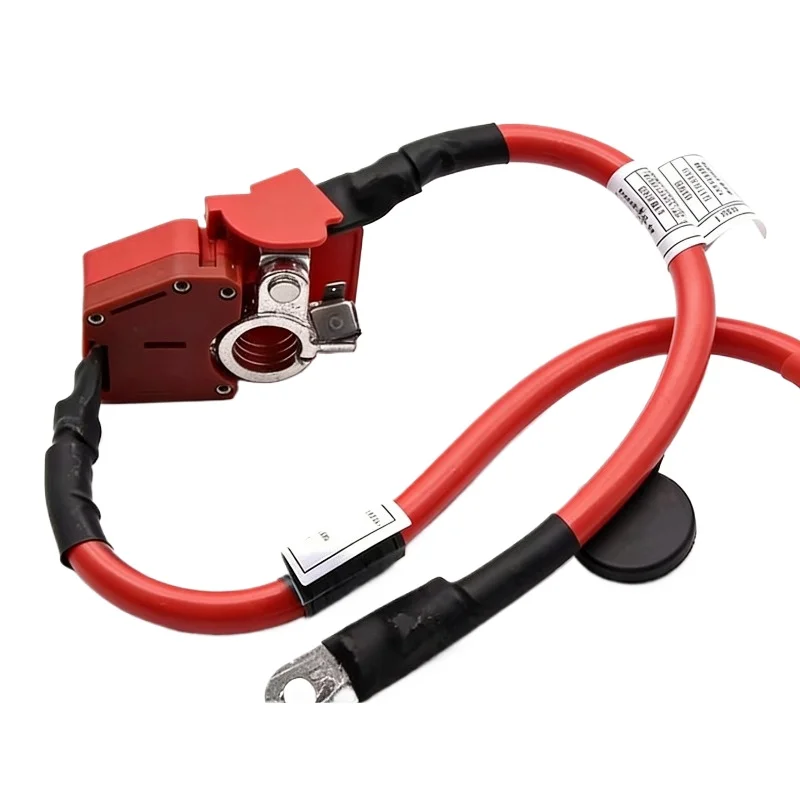 

Battery Positive Wire for BMW 3 Series F30 F35 F34 GT 316 320 325 328 330 335 Brand New China Genuine Automotive Parts