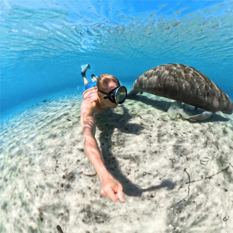 

Y45A-Dive Housing For Insta360 X5, Invisible 60M Underwater Camera Protector Shell, Waterproof Case