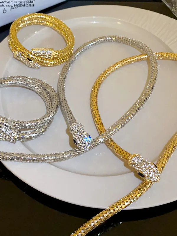 European and American exaggerated snake-shaped dark punk style collarbone chain accessories niche design sense