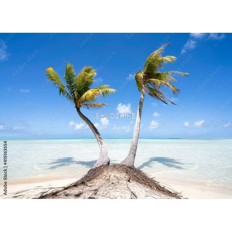 SHUOZHIKE Tropical Sea Beach Palms Tree Photography Background Natural Scenic Photo Backdrops Photocall Photo Studio HHB 15