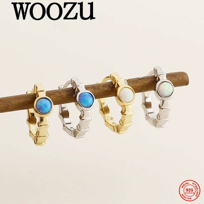 

WOOZU 925 Sterling Silver Luxury Temperament Vintage Round Opal Earrings for Women Party Fashion Exquisite Jewelry Accessories