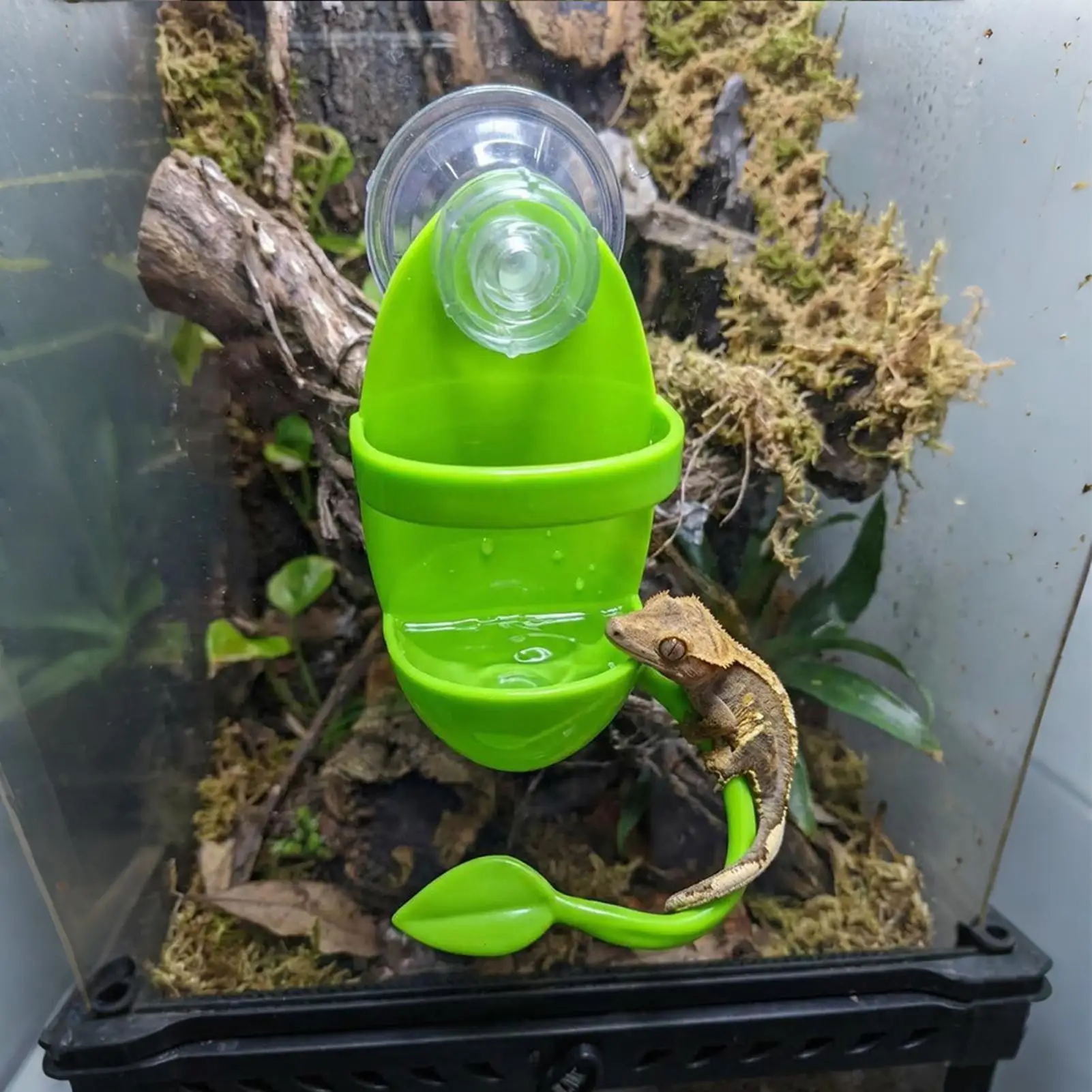 Reptilien-Kletterzweig mit Saugnapf, Hitzebeständiger Sitz, Terrarium-Dekoration für Eidechsen, Frosch- und Gecko-Habitat, Tierfutterplatz – Detail 5