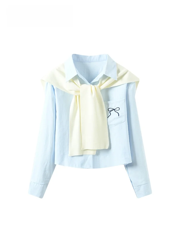 

Женская весенняя модная свободная универсальная блузка больших размеров с длинным рукавом для полных женщин, из полиэфирного волокна