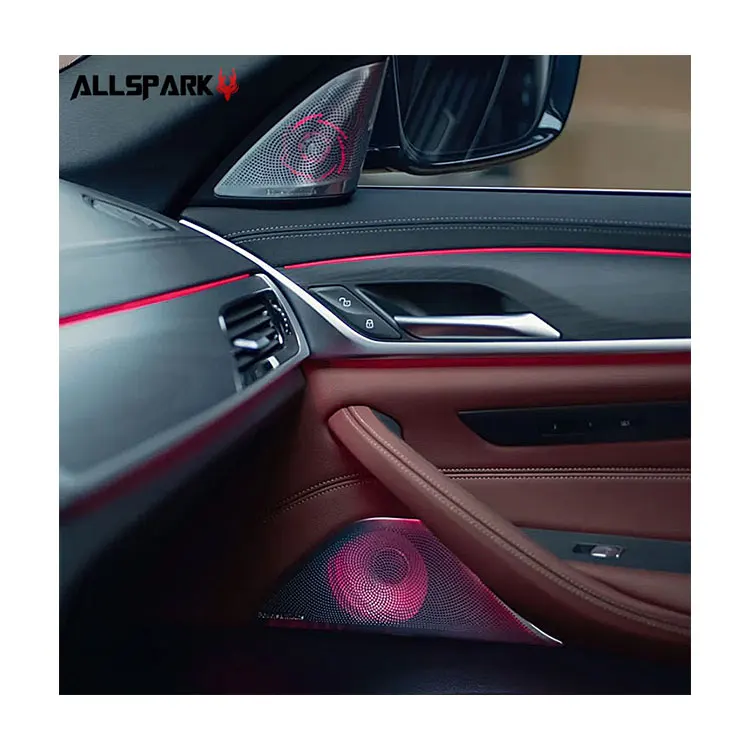For BMW 5 Series F10 2010-2017 Silvery Steel Door Audio Speaker Panel Cover Trim (For: BMW)