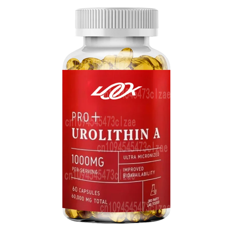 Urolithin A Capsules -1000 Mg, 60 Capsules for Advanced Cellular Health and Vitality, Healthy Aging, 60000 Mg Ultrafine Powder