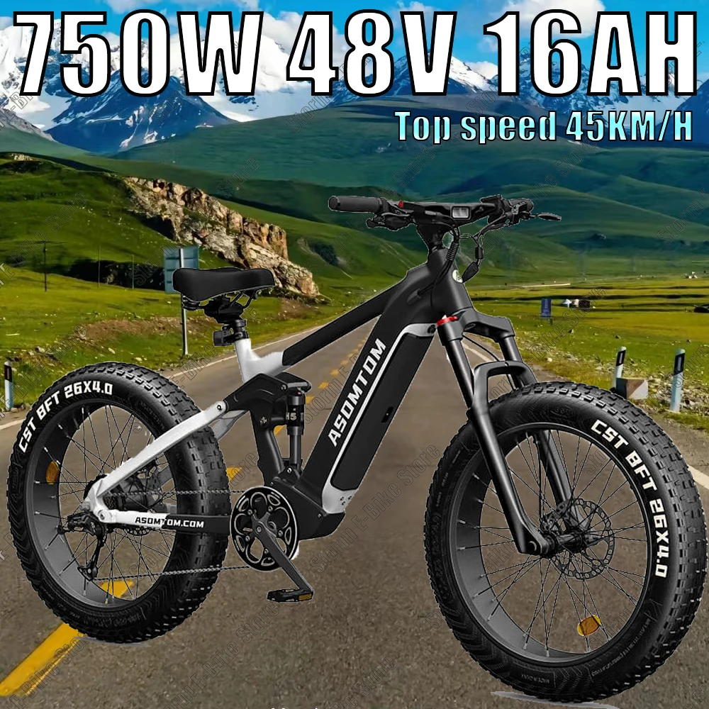 Mountain Off-Road Electric Bike 28inch Fat tire Snow E-bicycle 750W High-Speed Motor 48V16AH Lithium battery 45KM/H Adult E-Bike