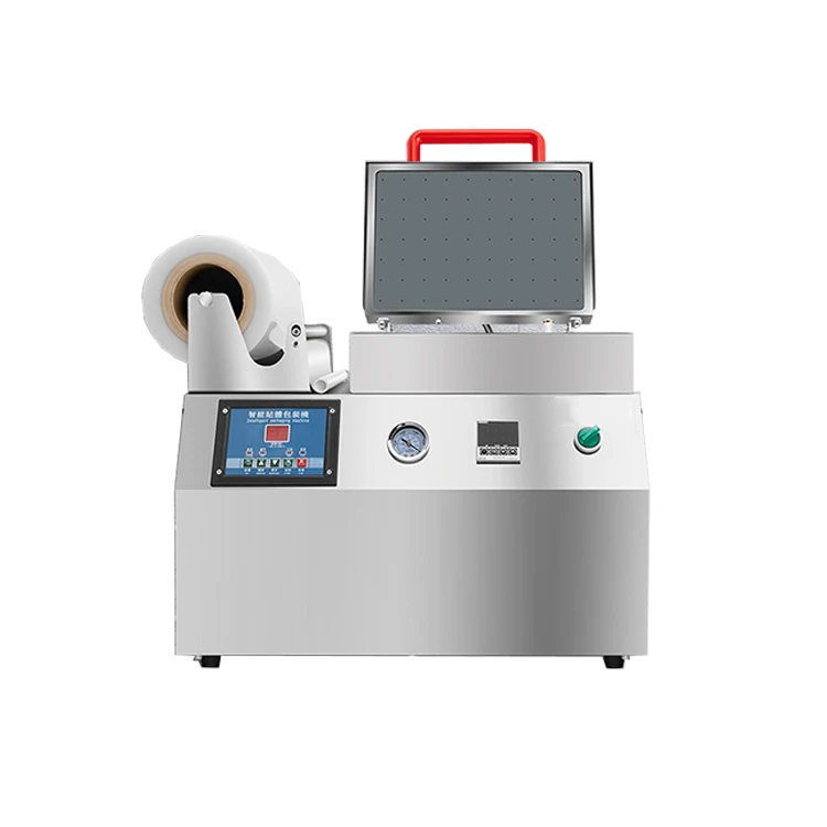 Machine Plastic Tray Sealing Machine/ Small Food Vacuum Packaging MachineMini Manual Fish Shrimp Seafood Meat Vacuum Packing