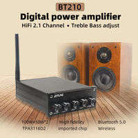 DIYLIVE BT210 HiFi 2.0 Full Digital Audio Power Amplifier 100W*2 Bluetooth 5.0  TPA3116 tonal treble and bass adjustment