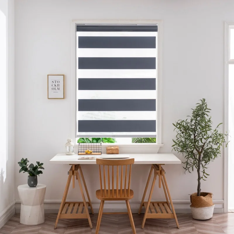 Hot Selling Most Popular Dual Layer Light Filtering Custom Size Child Safe Manual Spring Control Zebra Blinds For Living Room