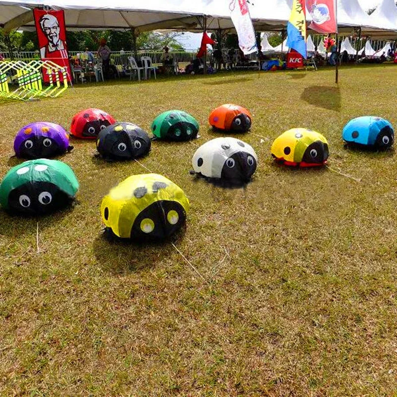 Aquilone coccinella aquiloni morbidi per bambini può camminare non volare giochi da giardino all'aperto in nylon ripstop giocattolo sportivo Giocattoli gonfiabili kitesurf