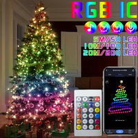 USB 5V Smart RGB-IC Fairy Light String Christmas Lights Decorations Lamp Garland WS2812 Bluetooth APP&Remote Control Addressable