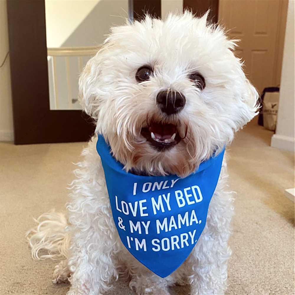 

Personalized Dog Bandana,I Only Love My Bed and My Mama I'm Sorry Caribbean Blue Dog Accessories,Pet Accessories for Dog Weddi