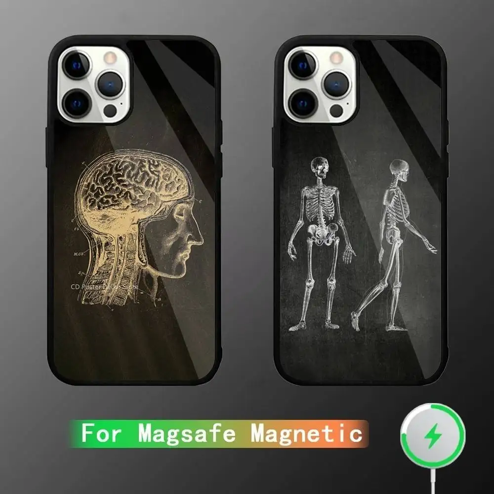 

Anatomy Skeleton Phone Case For iPhone 16,15,14,13,12,11,Pro,Max,Plus,Mini,SE New Magsafe Magnetic Wireless Charging