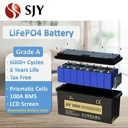 12V 24V 48V 100Ah 200Ah LiFePO4 Lithium Iron Phosphate Battery Pack (Build in 100A BMS) for power/solar energy storage system