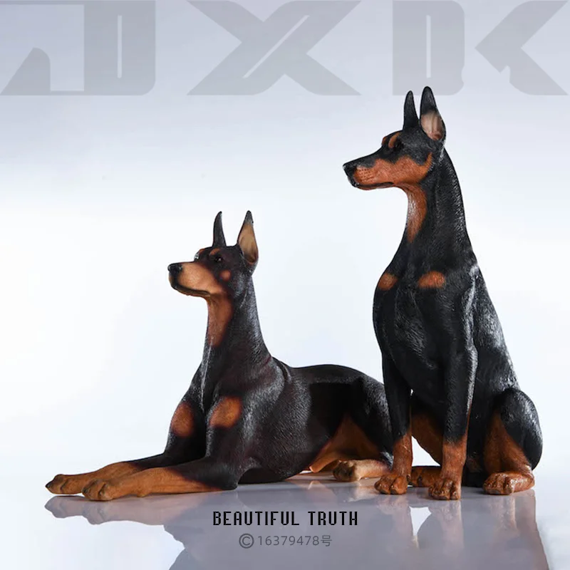

Jxk 1/6 Doberman Pinscher Model High-End Imitation Animal Ornaments Hound Series Scene Doggy Figure Collectible Toys