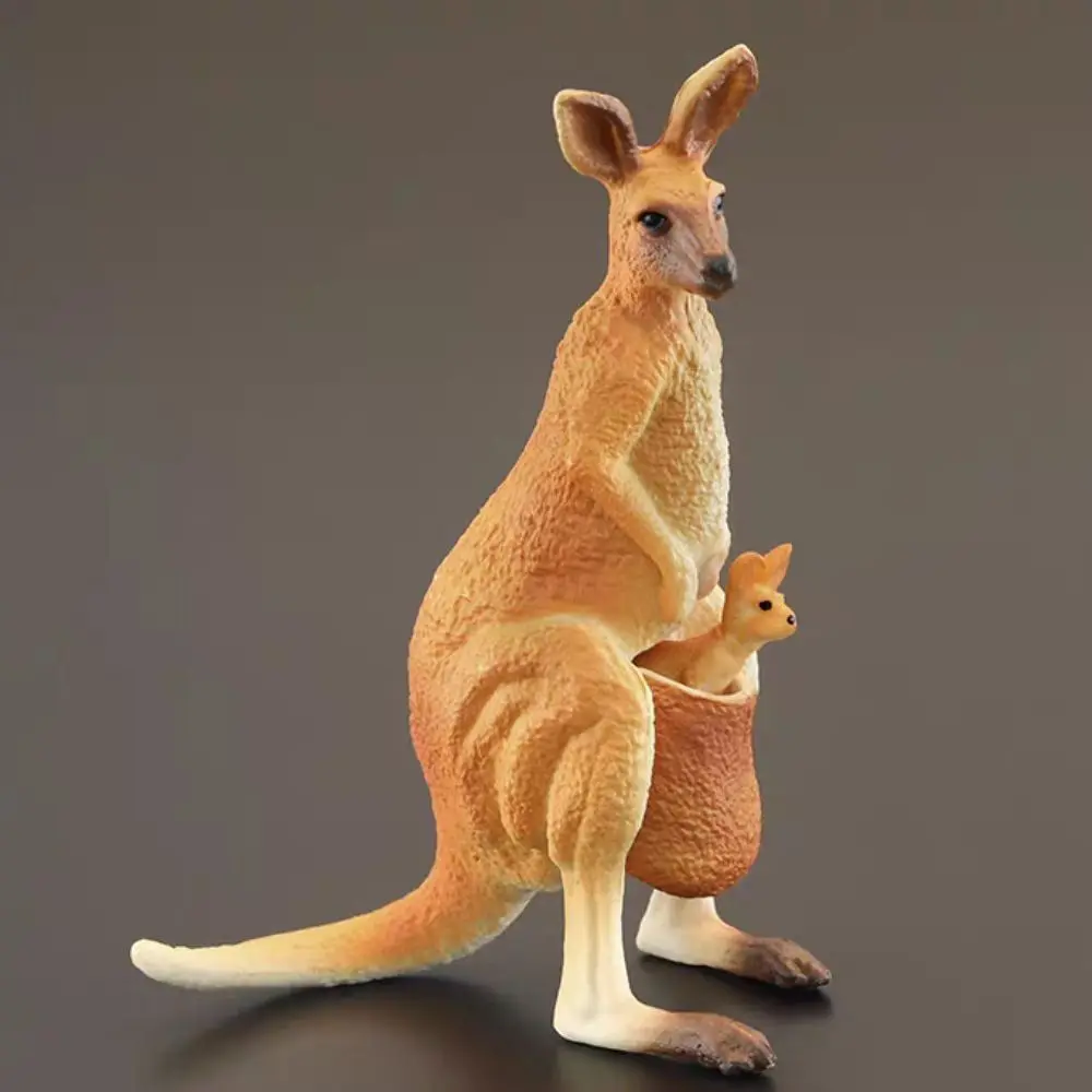 โมเดลสัตว์ป่าจำลอง PVC รูปปั้นสะสม จิงโจ้ แอคชั่นฟิกเกอร์ งานฝีมือ การ์ตูน จิงโจ้ป่าจำลอง