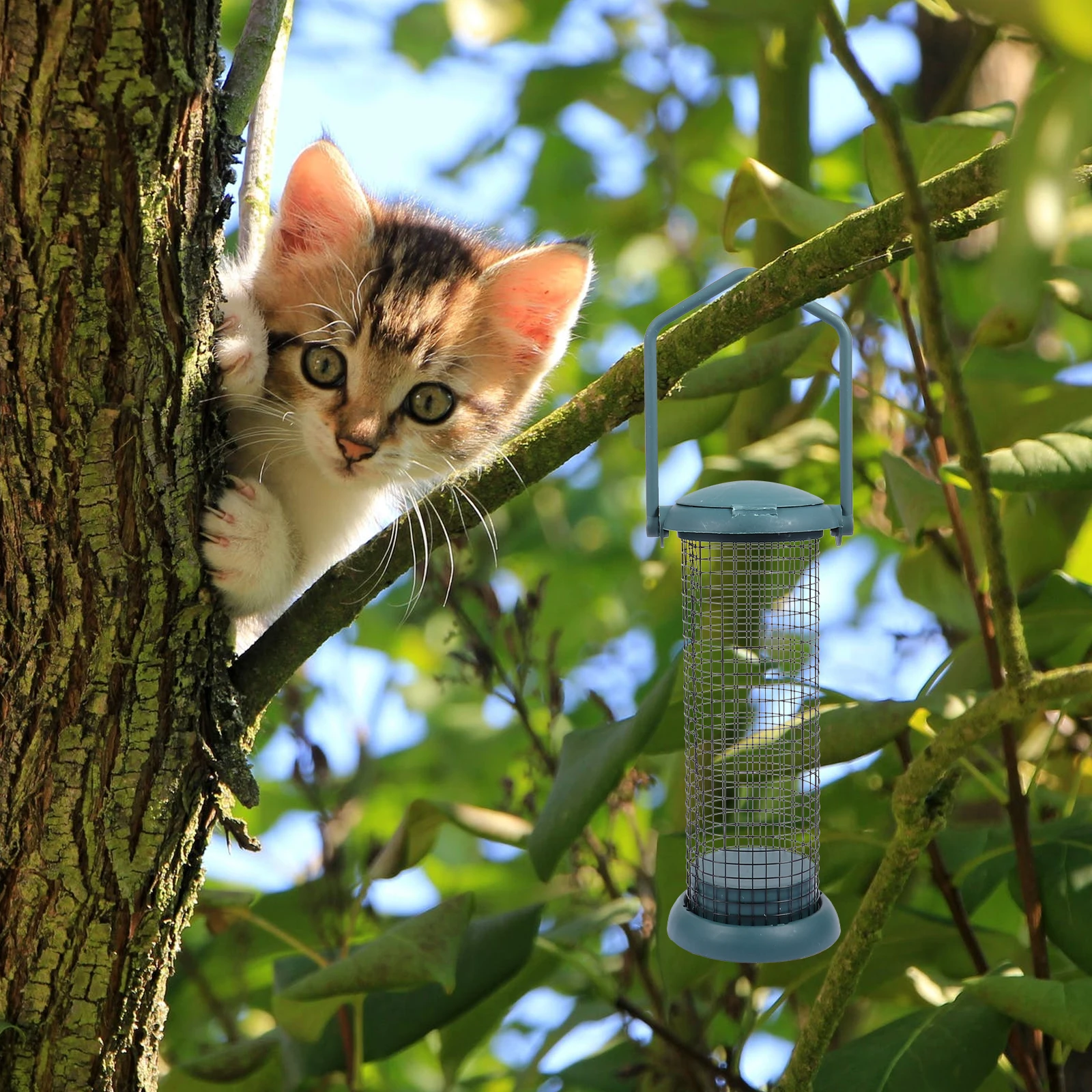 

Ball Bird Feeder Pet Food Holder Stainless Steel Plastic Container Garden nament Reusable Durable Attract Birds
