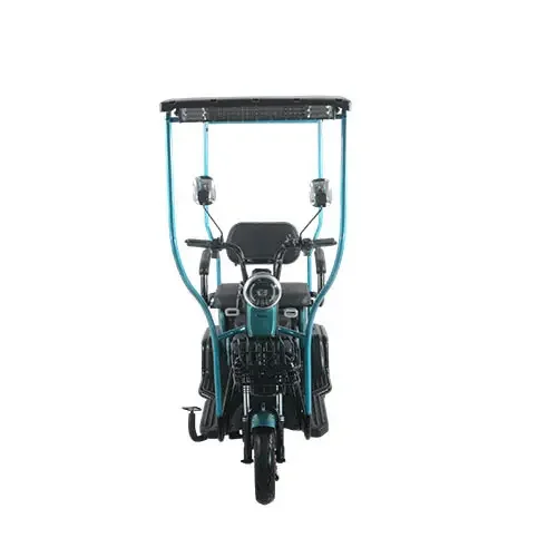 Solar-Powered Electric Tricycle with Canopy Eco-Friendly Three-Wheel Electric Vehicle