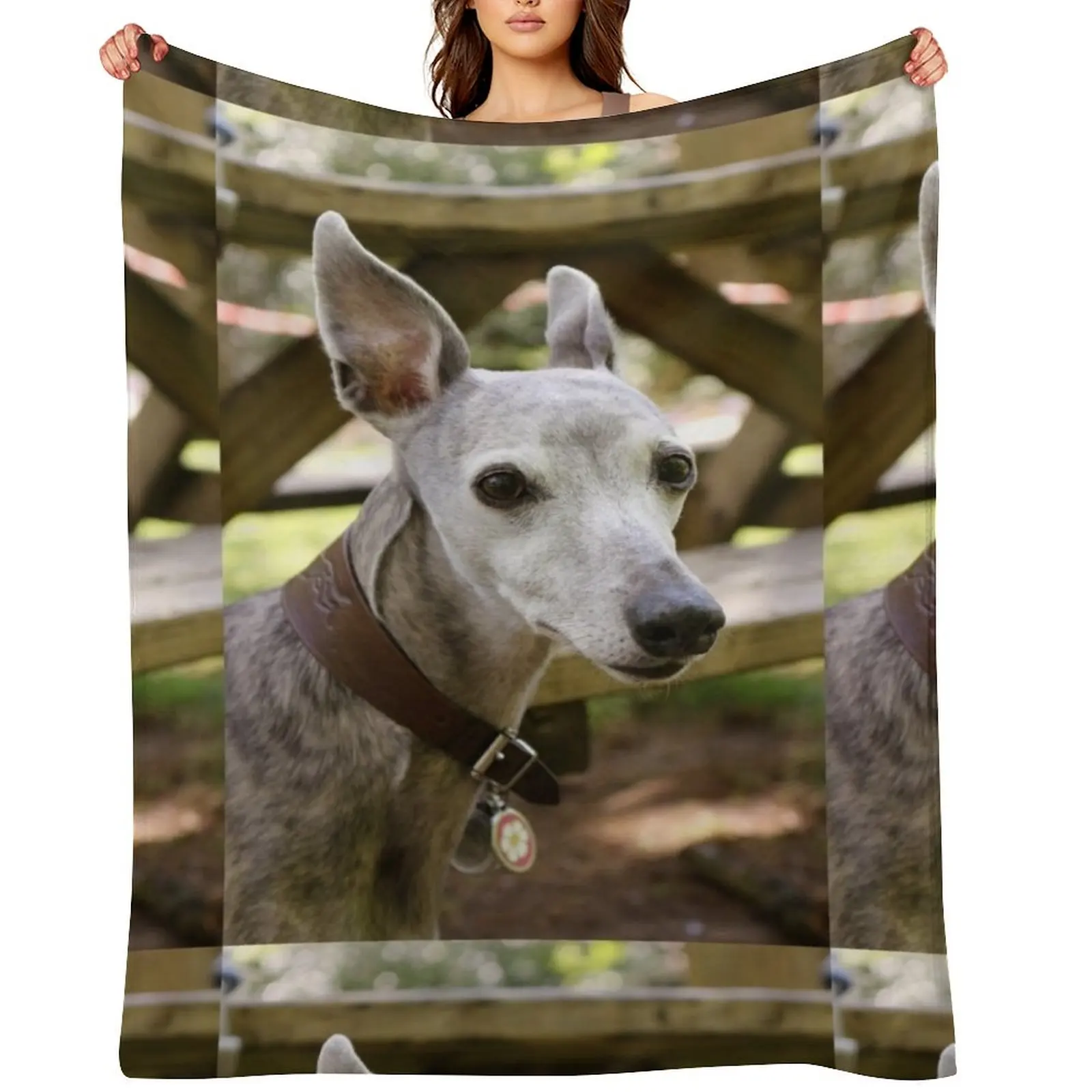 Whippet Throw Blanket Polar Flannels Plaid Cute Plaid Blankets