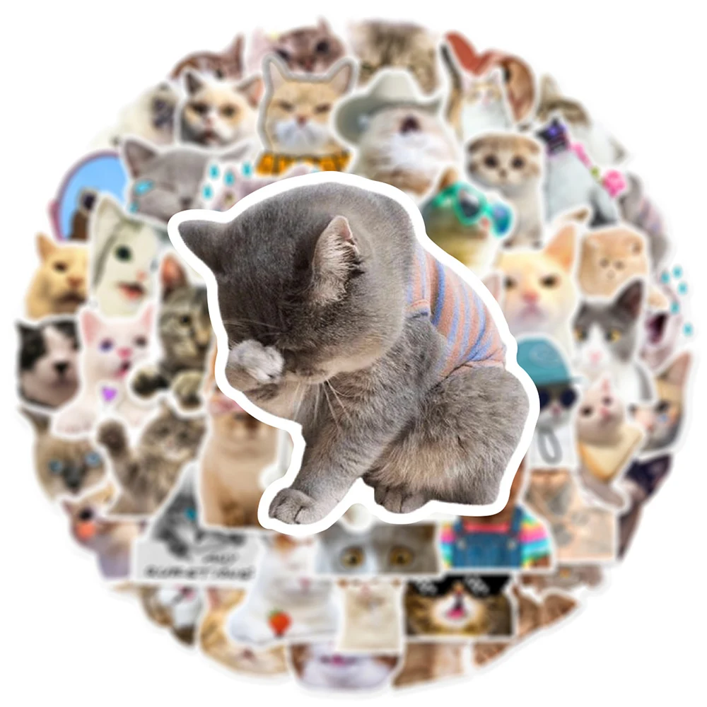 

10/30/50pcs Cute Funny MEME Cat Stickers Kawaii Cartoon Animals Decals DIY Laptop Skateboard Suitcase Luggage Waterproof Sticker