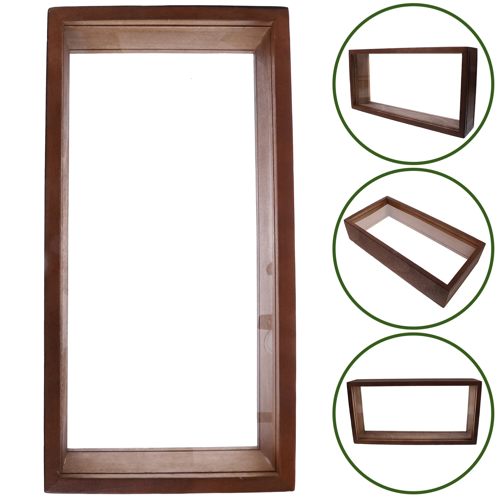 Creative Specimen Dried Flower Decor Shadow Boxes Display Case Acrylic Wood Frame Insect Plant Stand Photo Holder Home