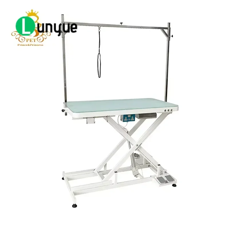 Electric Height Adjustable Dog Grooming Table with LED Light Veterinary Equipment for Pet Home Use Professional Lift