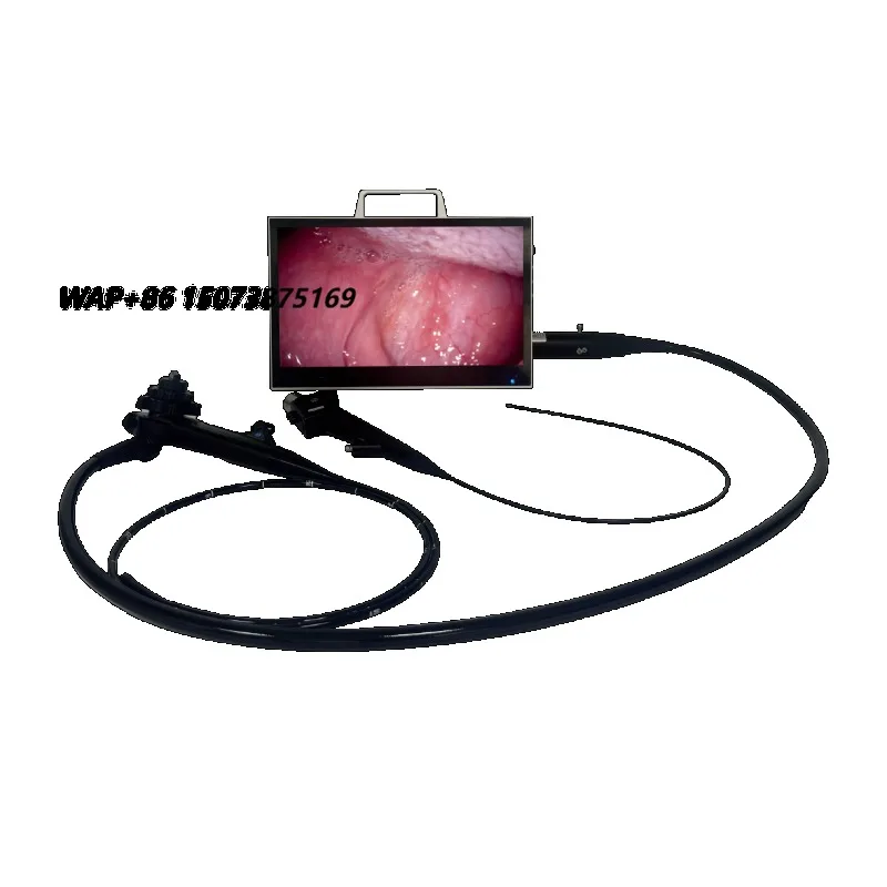 A new generation of veterinary all-in-one portable multi-function endoscope system, suitable for veterinary rigidity and flexibi