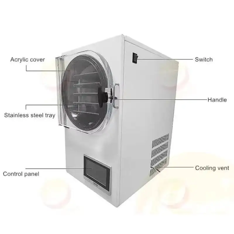 Freeze Drying Machine Small Vacuum Lab Freeze Dry Machine Home Use Mini Food Freeze Dryer Machine