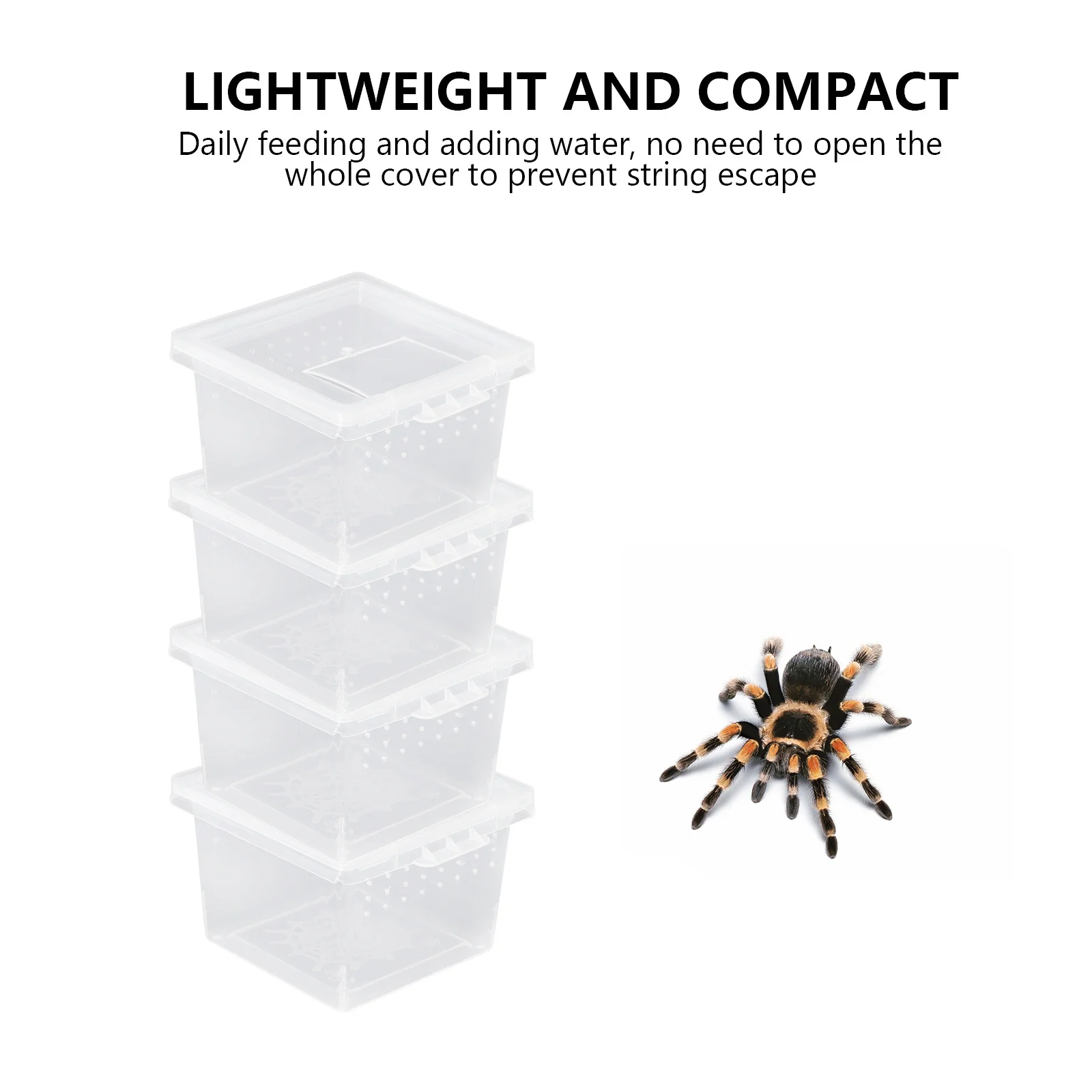 

10Pcs Pet Spider Containers Reptile Breeding Boxes Compact Mini Feeding Boxes Safe Environmentally Friendly Reptile Feeder