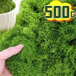 500/30g Artificial Green Plants Eternal Life Moss DIY Crafts Grass Home Living Room Garden Decoration Mini Landscape Fake Grass