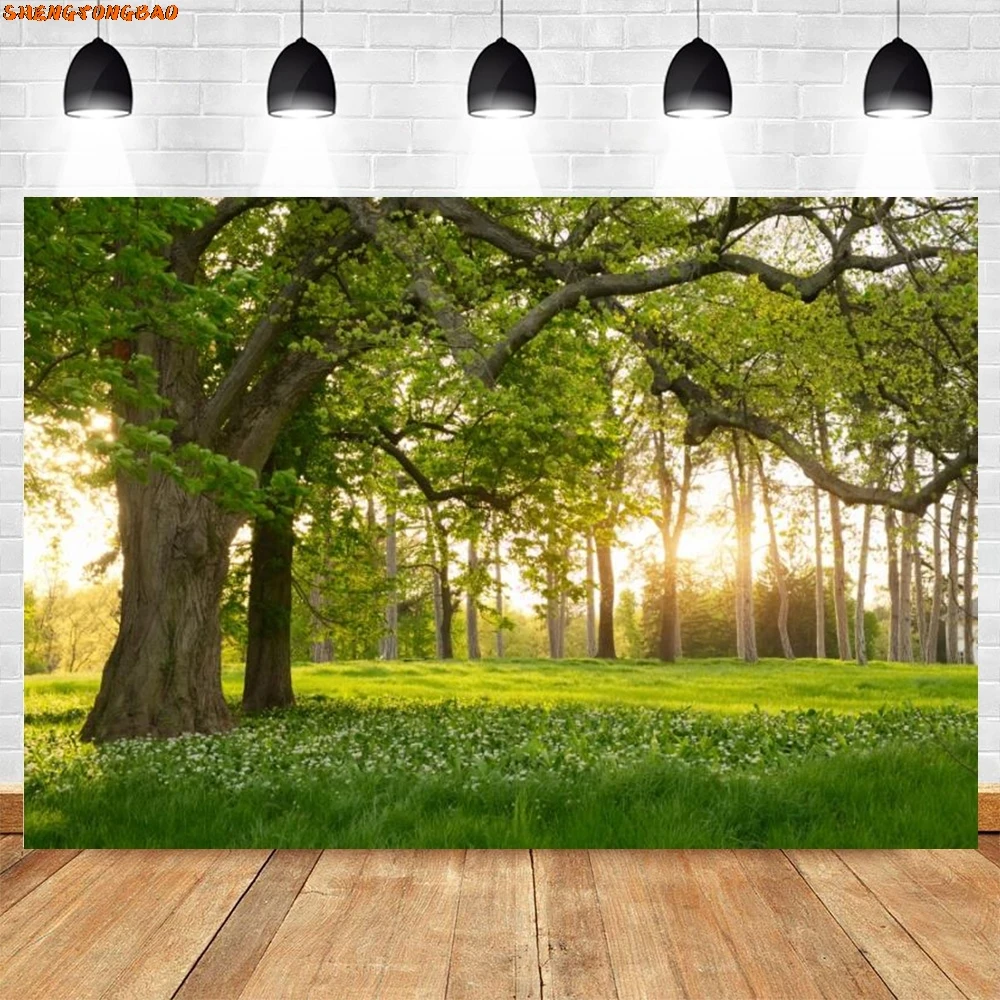 Wiosenne lasy kwiaty kwiat drzewo tło słońce kwiatowy naturalny krajobraz portret dziecka fotografia tło Photo Studio