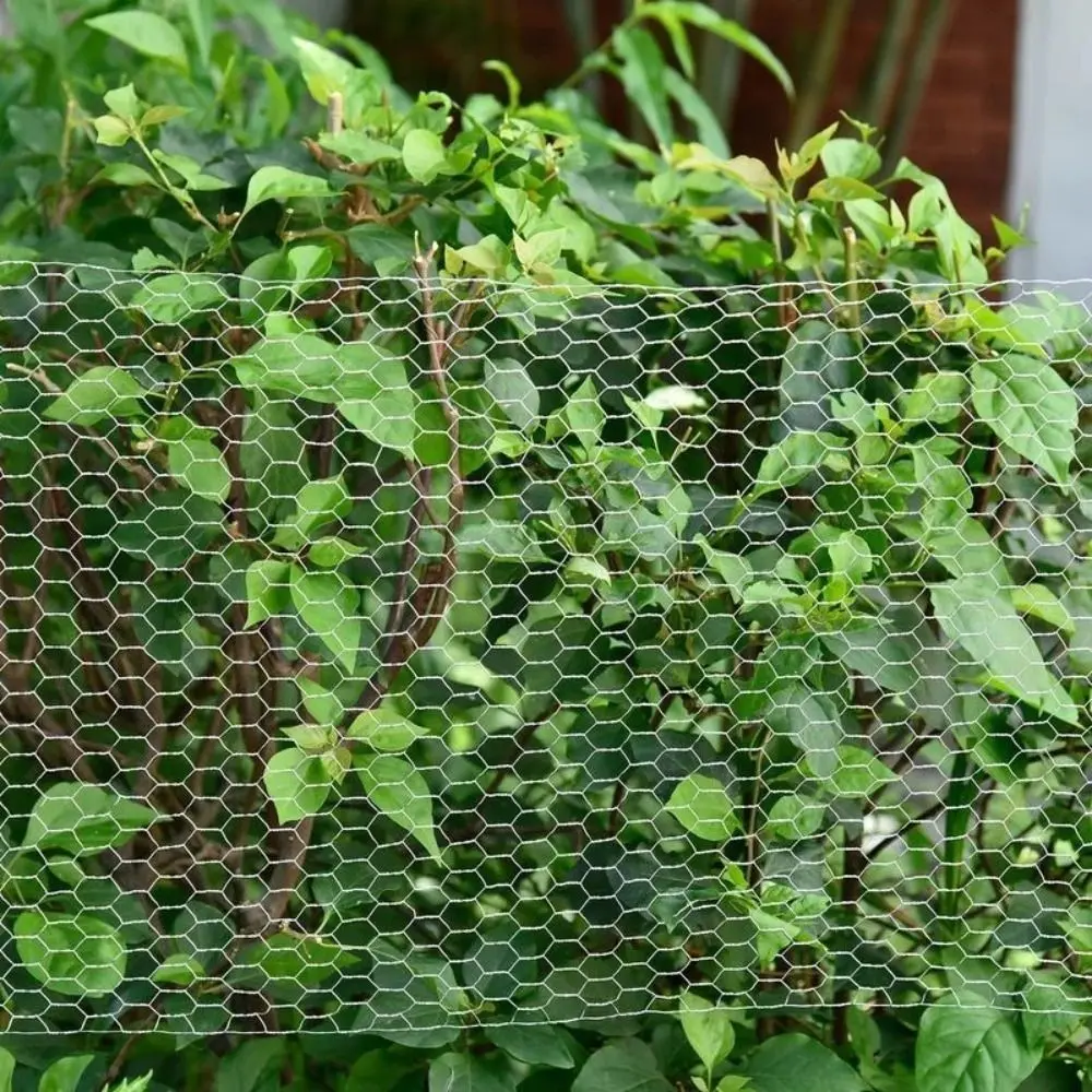Lightweight Galvanized Wire Mesh Scratch Resistant Rust Proof Hexagonal Wire Mesh Tear Resistant Galvanized