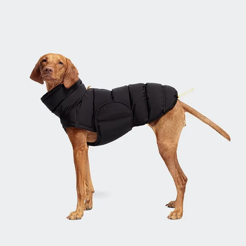 giacca-invernale-imbottita-in-cotone-per-cani-e-gatti-design-europeo-e-americano