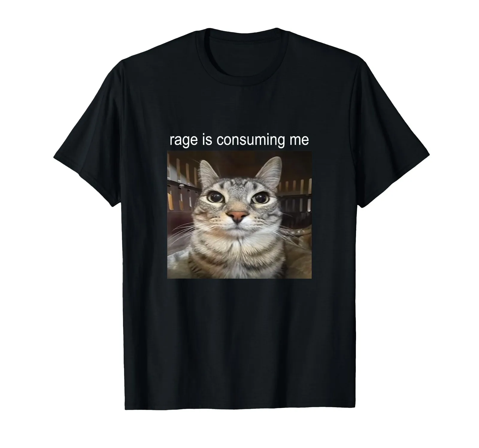 

Rage Overwhelms Me: Funny Cat Meme Graphic Tee