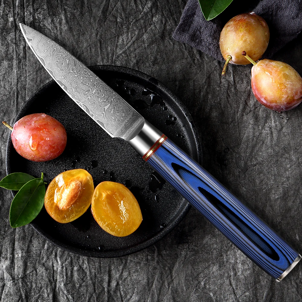 Damascus Paring Knife 3.5 Inch Japanese Utility Knife Blue G10 Handle Ultra Sharp Kitchen Fruit Carving Knife Damascus Steel