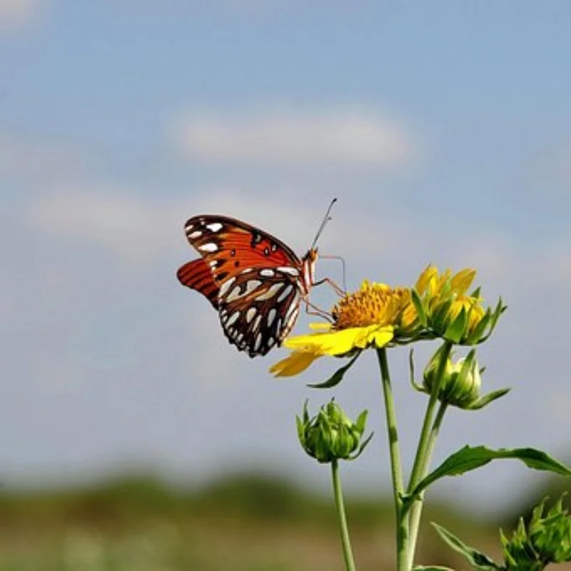 

Metal Front & Rear Bumper Automatic Simulated Winch RC System for 1/18 RC Crawler Car TRX4M Traxxas Axial