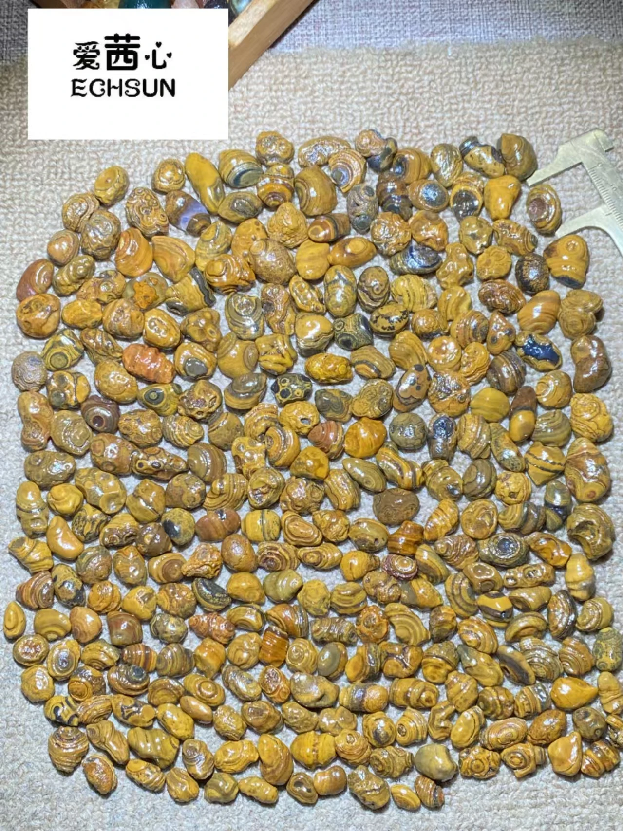 277pcs/lot boutique natural three-dimensional relief surface coin eye stone loose beads wholesale Gobi agate grain Pretty rare
