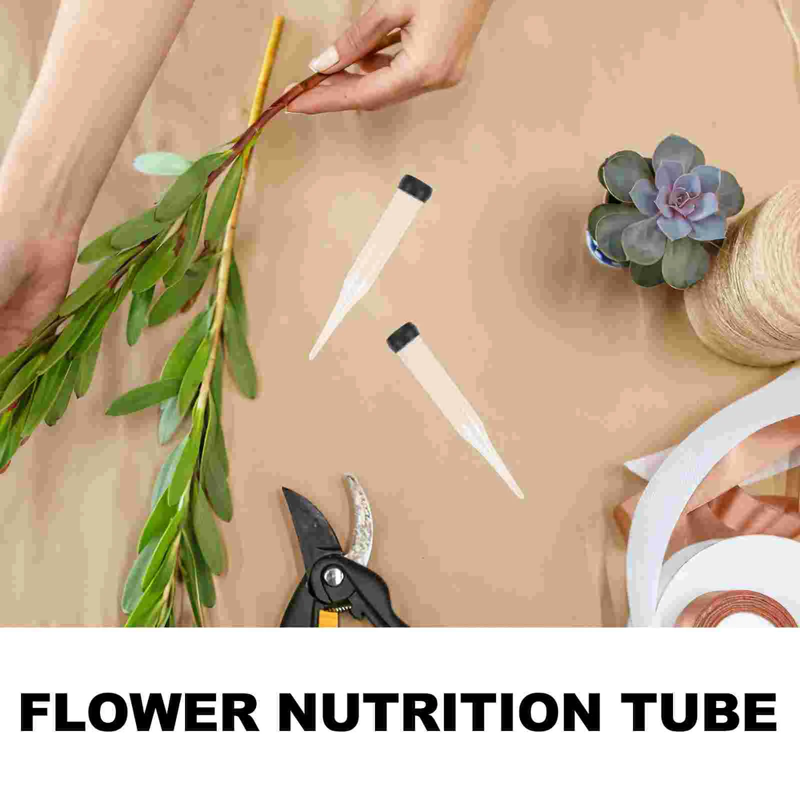 Flower Storage Tube Buckets Cut Flowers Florist Supplies Floral Tubes Milkweed Plastic Vase Crafts Toddlers Vials Water