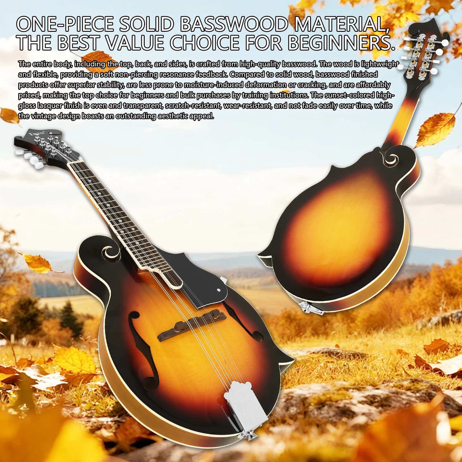 Mandolin 8 Senar Tipe F dari K - Mandolin A Style ulasan dan harga