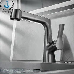 Pull-Out Lift Bathroom Basin Faucet 360° Rotatable Washbasin Faucet Stainless Steel Sink Faucet with Pull Out Sprayer Torneira